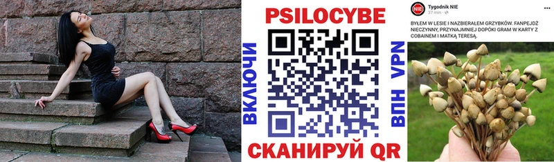 Галлюциногенные грибы ЛСД  Елизово 